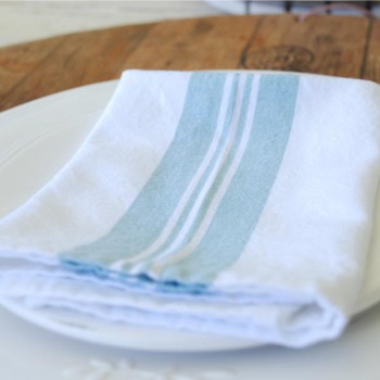 Duck Egg Blue and White napkins