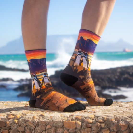 Cape Town Penguins socks featuring Table Mountain